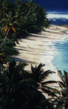 Cocos Islands- .CC